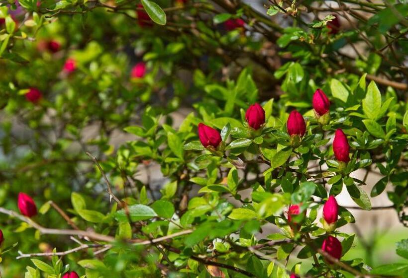 Pilgrim's Rest Bed And Breakfast