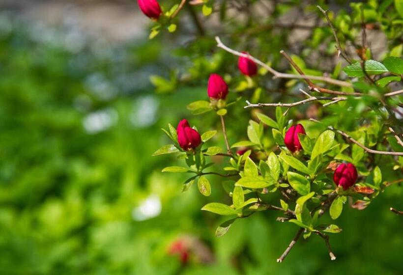 Pilgrim's Rest Bed And Breakfast