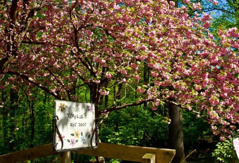 Pilgrim's Rest Bed And Breakfast