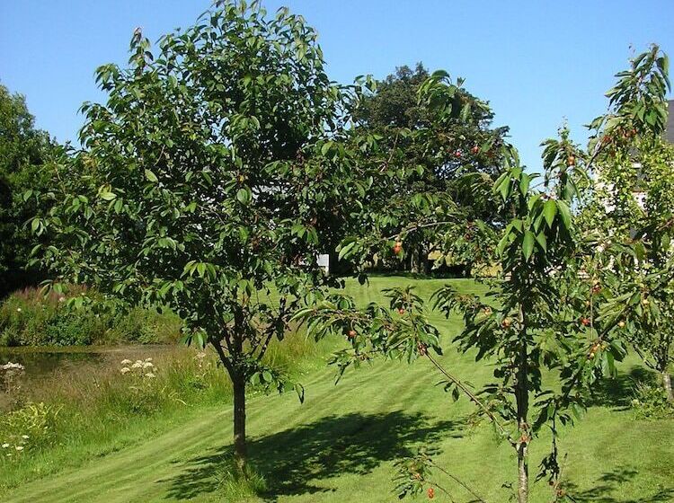 مبيت وإفطار Balhousie Farm
