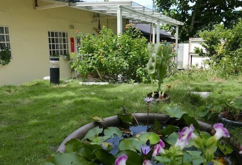 تختخواب و صبحانه Hualien Oceanbreeze Homestay