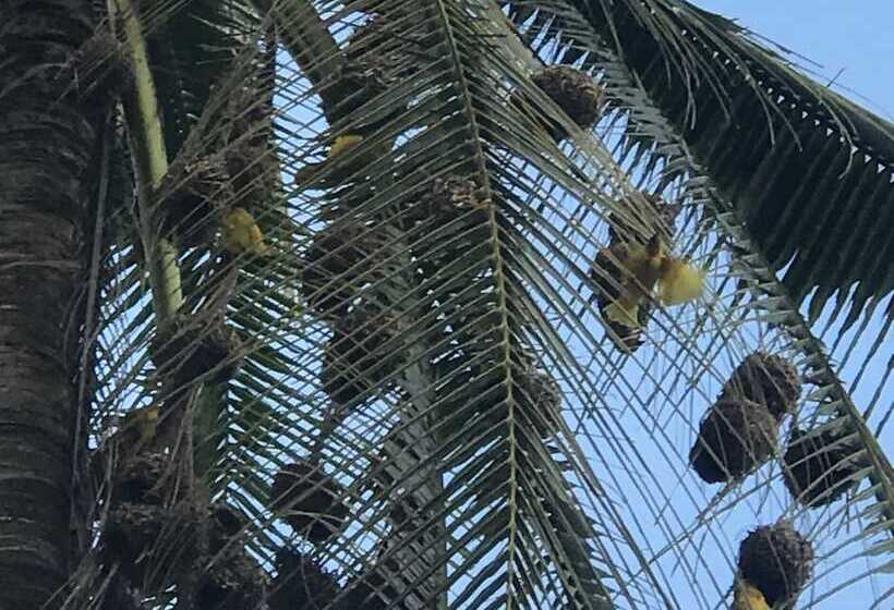 민박 Zanzibar Dream Lodge