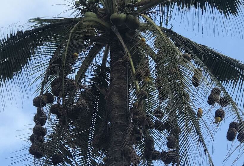 민박 Zanzibar Dream Lodge