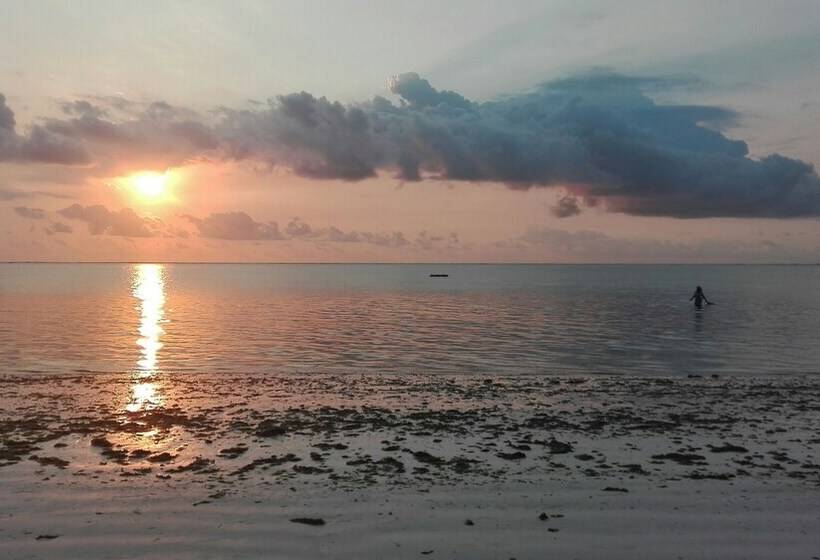 민박 Zanzibar Dream Lodge