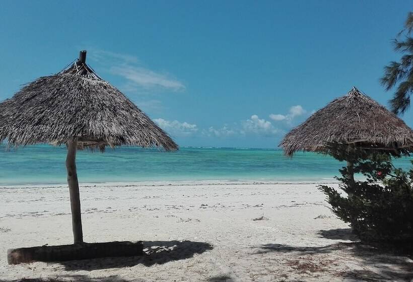 민박 Zanzibar Dream Lodge