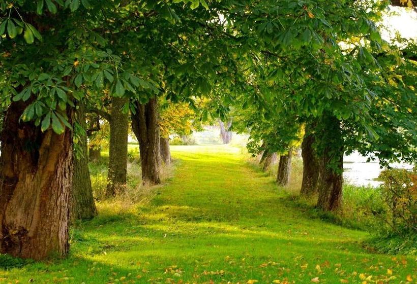 Bed & Breakfast Börstorps Slott