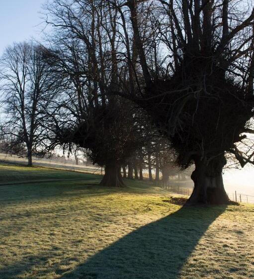 Hall Bed & Breakfast