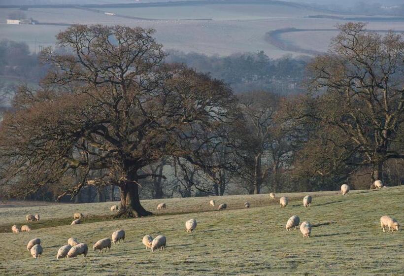 Hall Bed & Breakfast