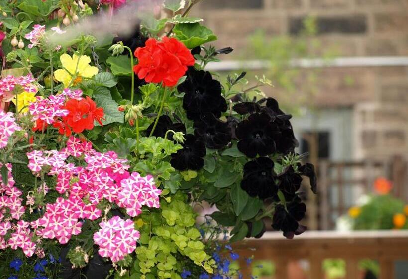 مسافرخانه The Red Lion