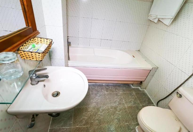 هتل Danang Center 2