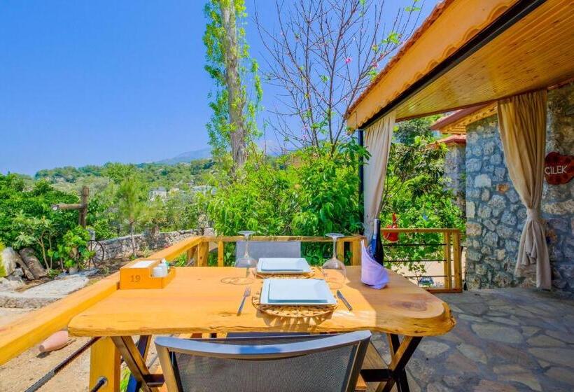 Отель Faralya Yoruk Evi Suite   Adults Only