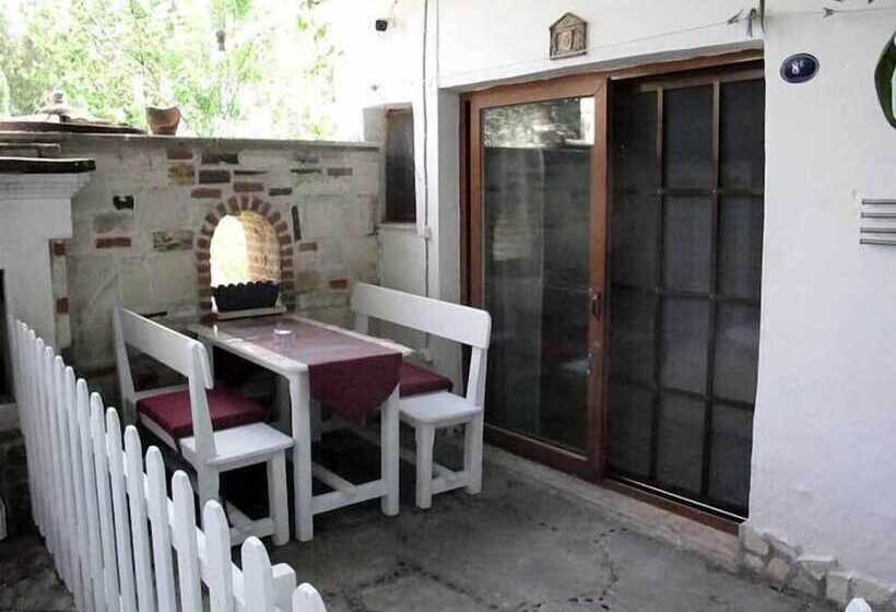 Отель Iyon Pansiyon