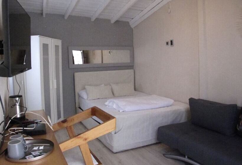 Отель Iyon Pansiyon