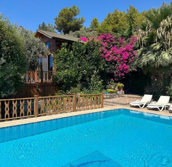 Отель Kabak Armes