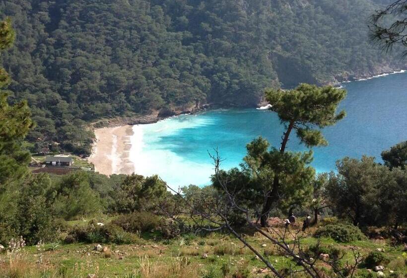 Отель Kabak Armes