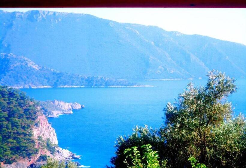 Отель Kabak Armes