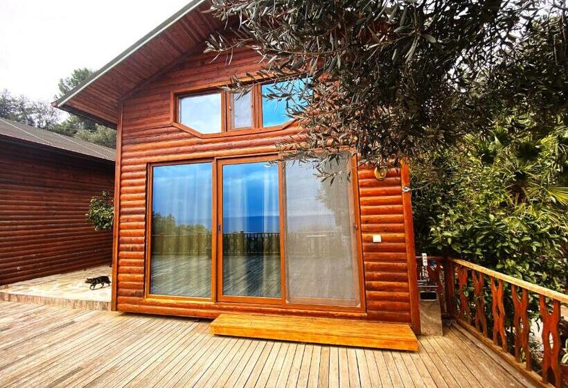 Отель Kabak Armes