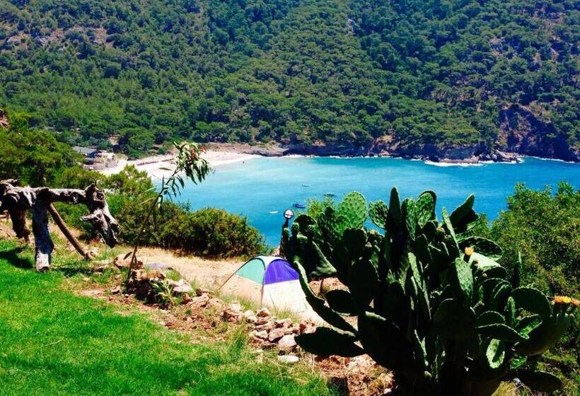 Отель Kabak Armes