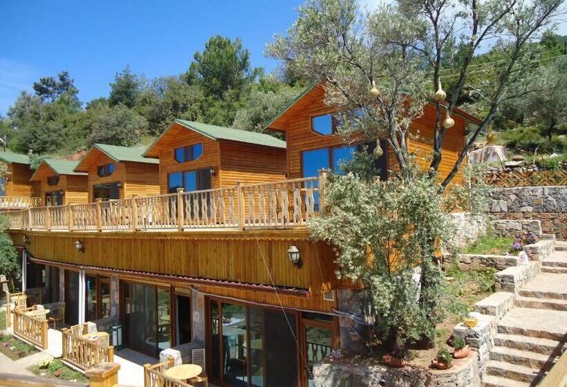 Отель Kabak Armes