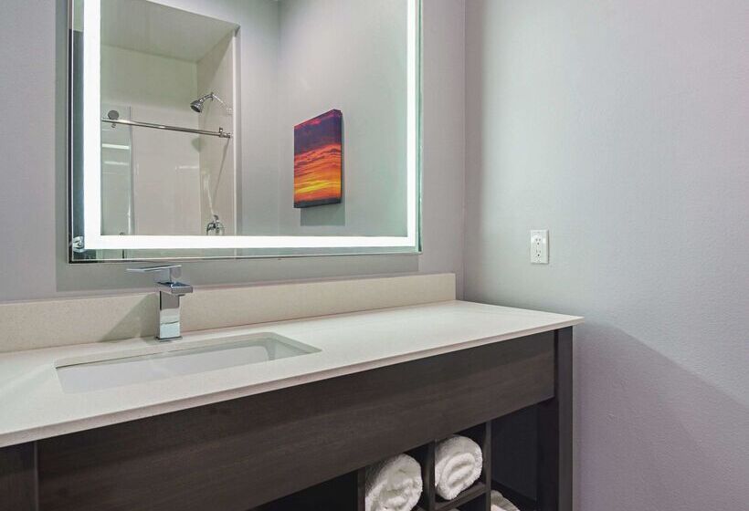 호텔 La Quinta By Wyndham Dallas   Wylie