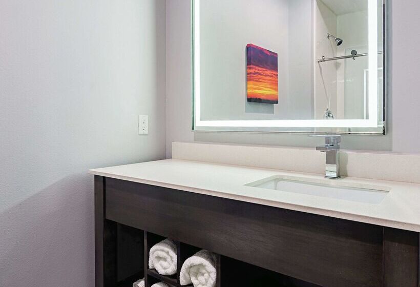 호텔 La Quinta By Wyndham Dallas   Wylie