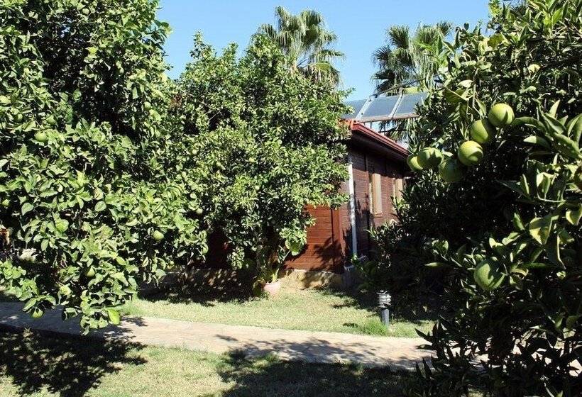 בית מלון כפרי Merhaba