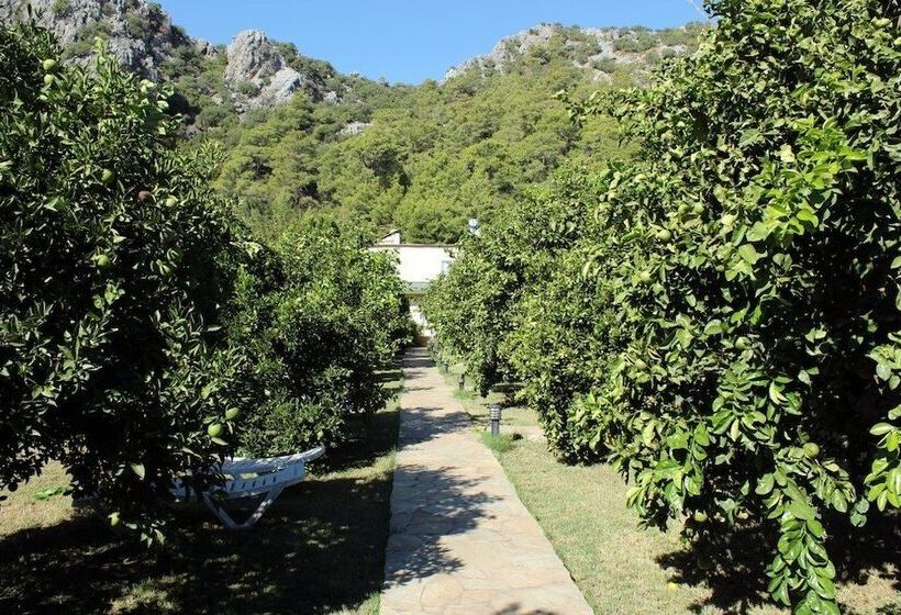 בית מלון כפרי Merhaba