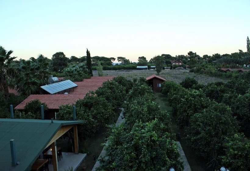 בית מלון כפרי Merhaba