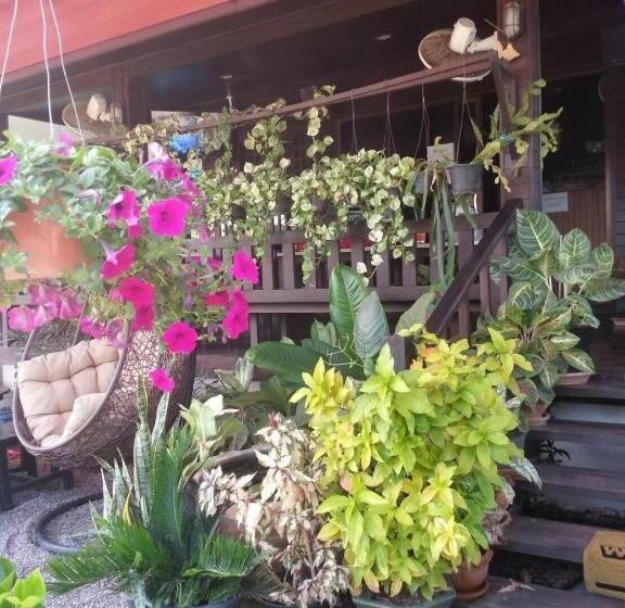 Szálloda Mountain View Resort