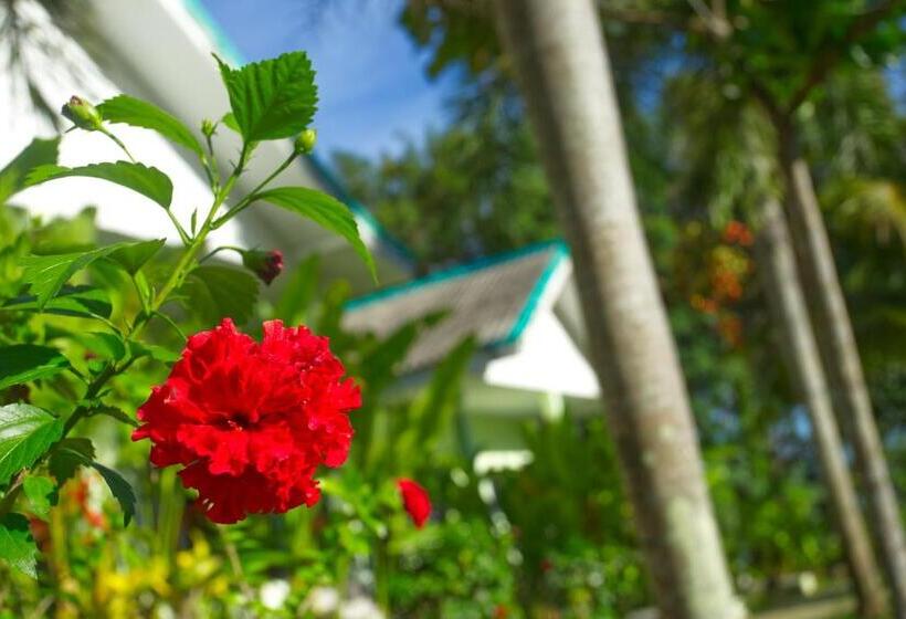 酒店 Sea View Resort