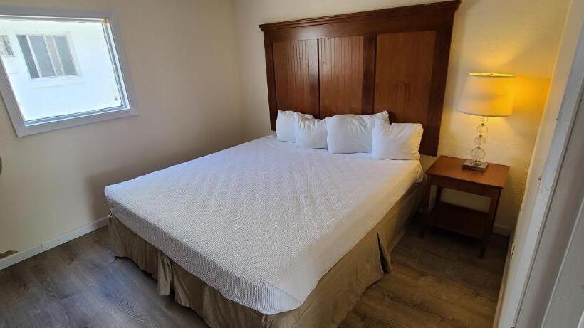 モーテル Oceanfront Twilight Surf