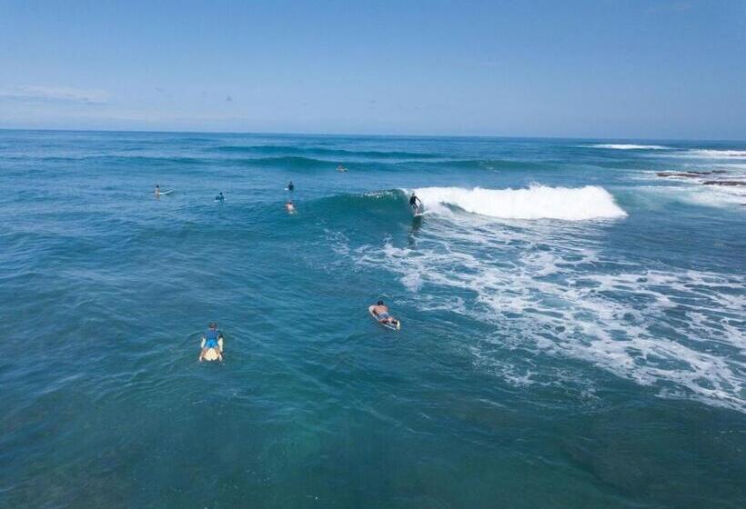 Ocean Villas At Turtle Bay