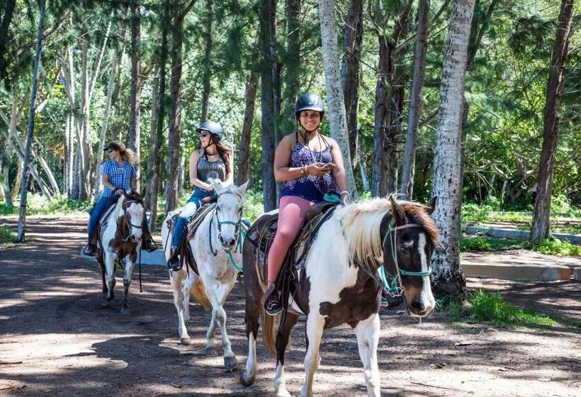 Ocean Villas At Turtle Bay