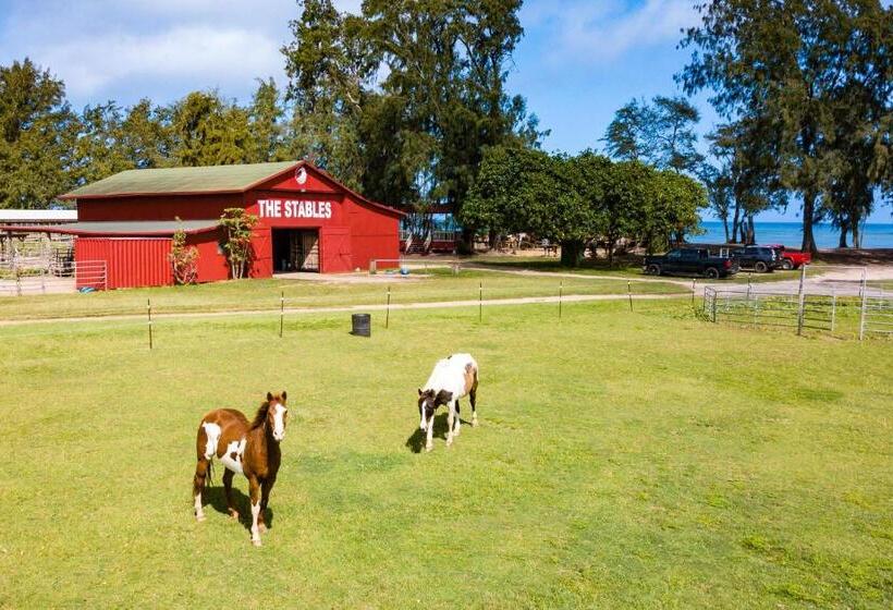 Ocean Villas At Turtle Bay