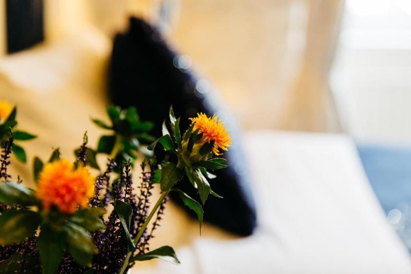 بنسيون Alltavona Guest House