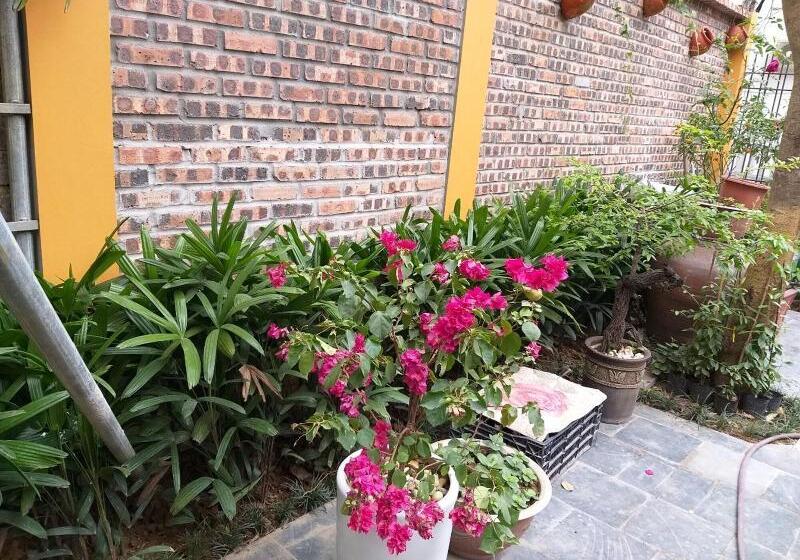 پانسیون Lys Homestay