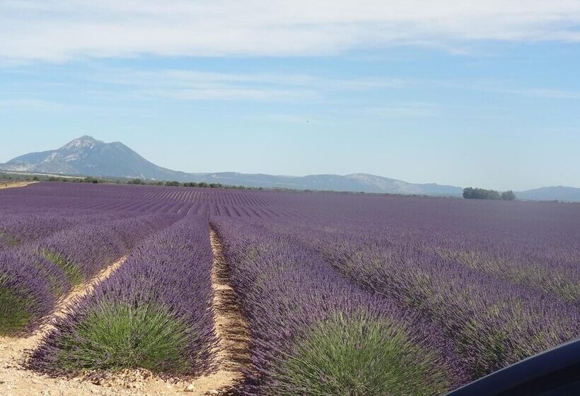 פנסיון Villa Mistral