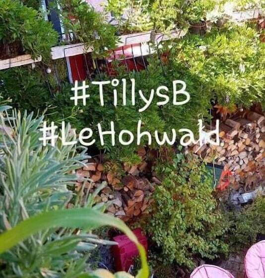 Tilly S B&b