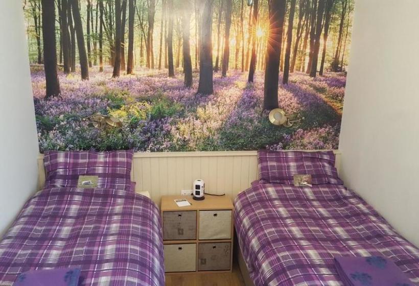 مبيت وإفطار Cruachan Guest House