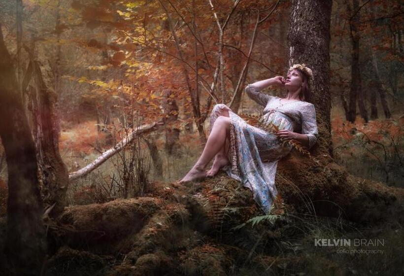 ベッドアンドブレックファースト Mill Lodgebrecon Beacons