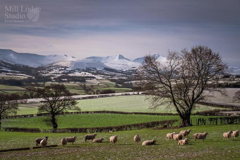 ベッドアンドブレックファースト Mill Lodgebrecon Beacons