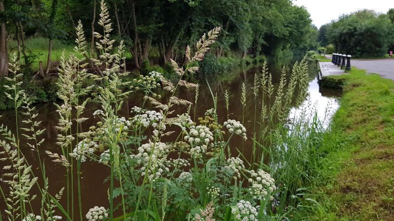 ベッドアンドブレックファースト Mill Lodgebrecon Beacons