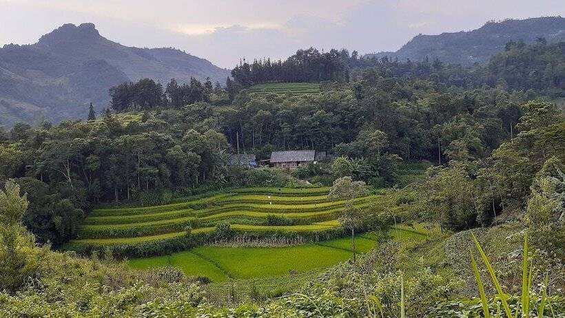 تختخواب و صبحانه Sa House Bac Ha