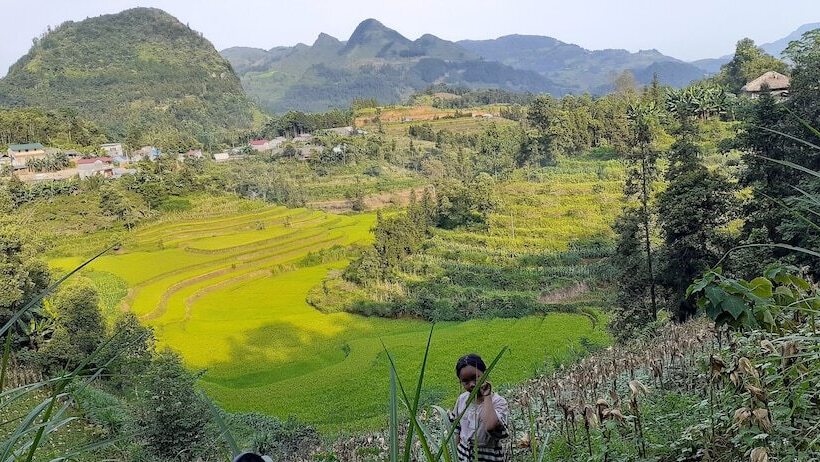 تختخواب و صبحانه Sa House Bac Ha