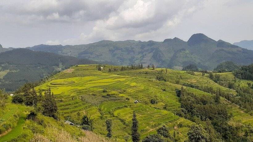 تختخواب و صبحانه Sa House Bac Ha