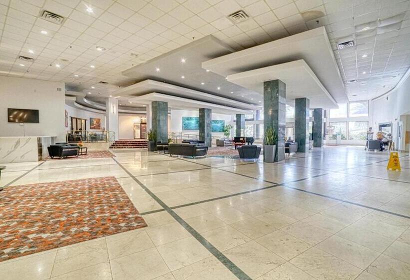 Deluxe Studios And Apartments At The Casablanca