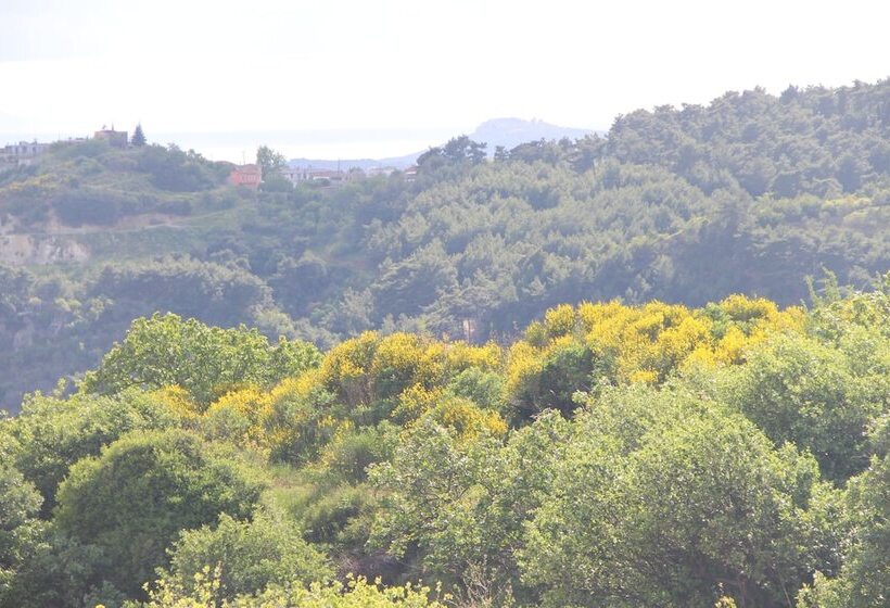 בית מלון כפרי Assos Kayalar Terrace Boutique