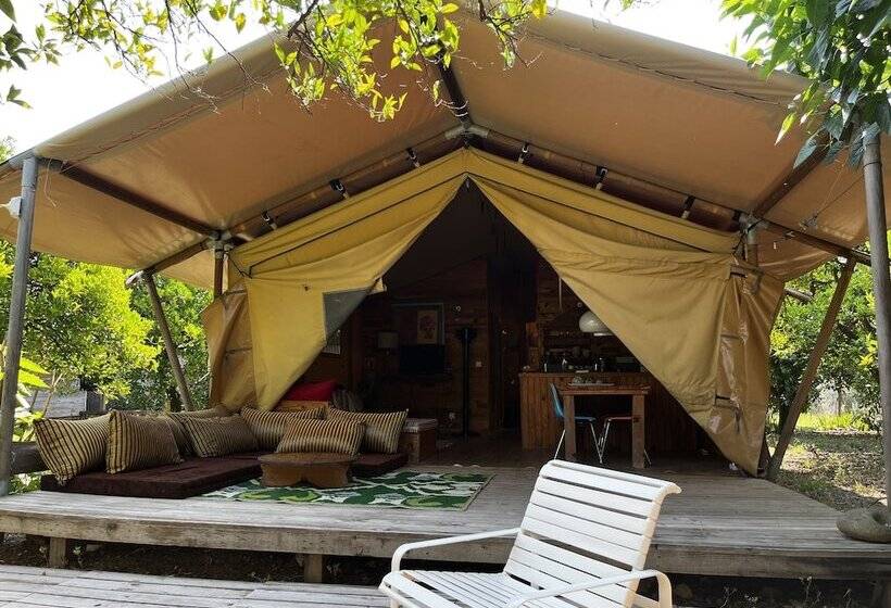 酒店 Campo Portakal Eco Glamping