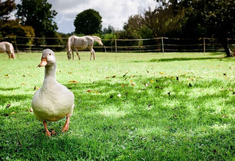 בית מלון כפרי La Ferme D Ervée De Saintroch