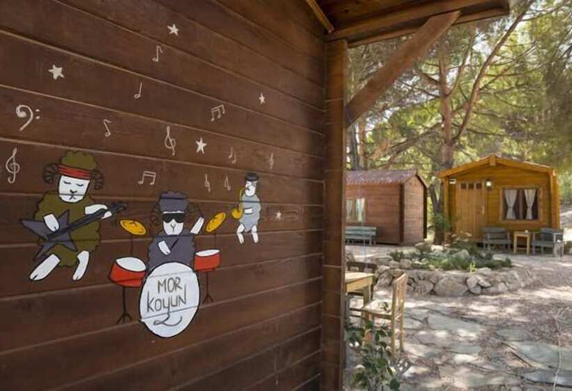 酒店 Morkoyun Bungalov Kamp